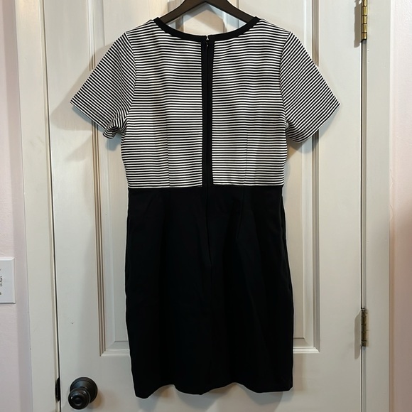Loft Thick Knit Short Sleeve Structured Career Mini Dress - Size 12P - Picture 7 of 11